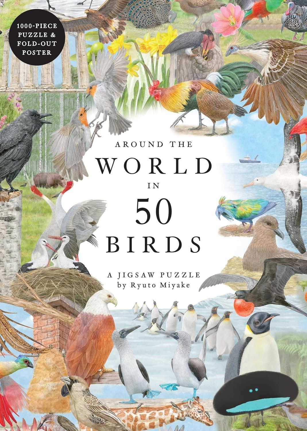 Puzzle Around the World in 50 Birds, 1000 piese | Laurence King - 4