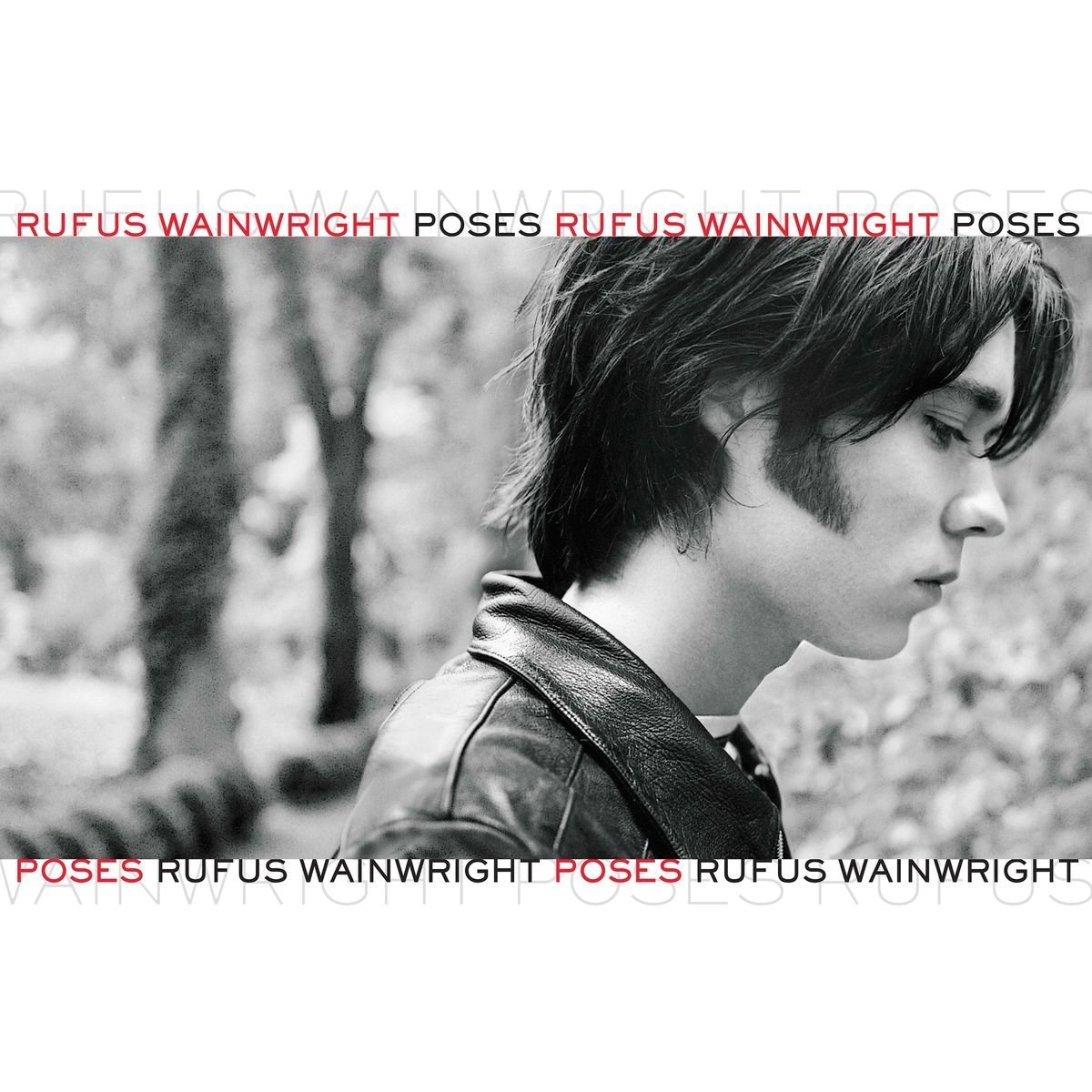 Poses - Vinyl | Rufus Wainwright image8