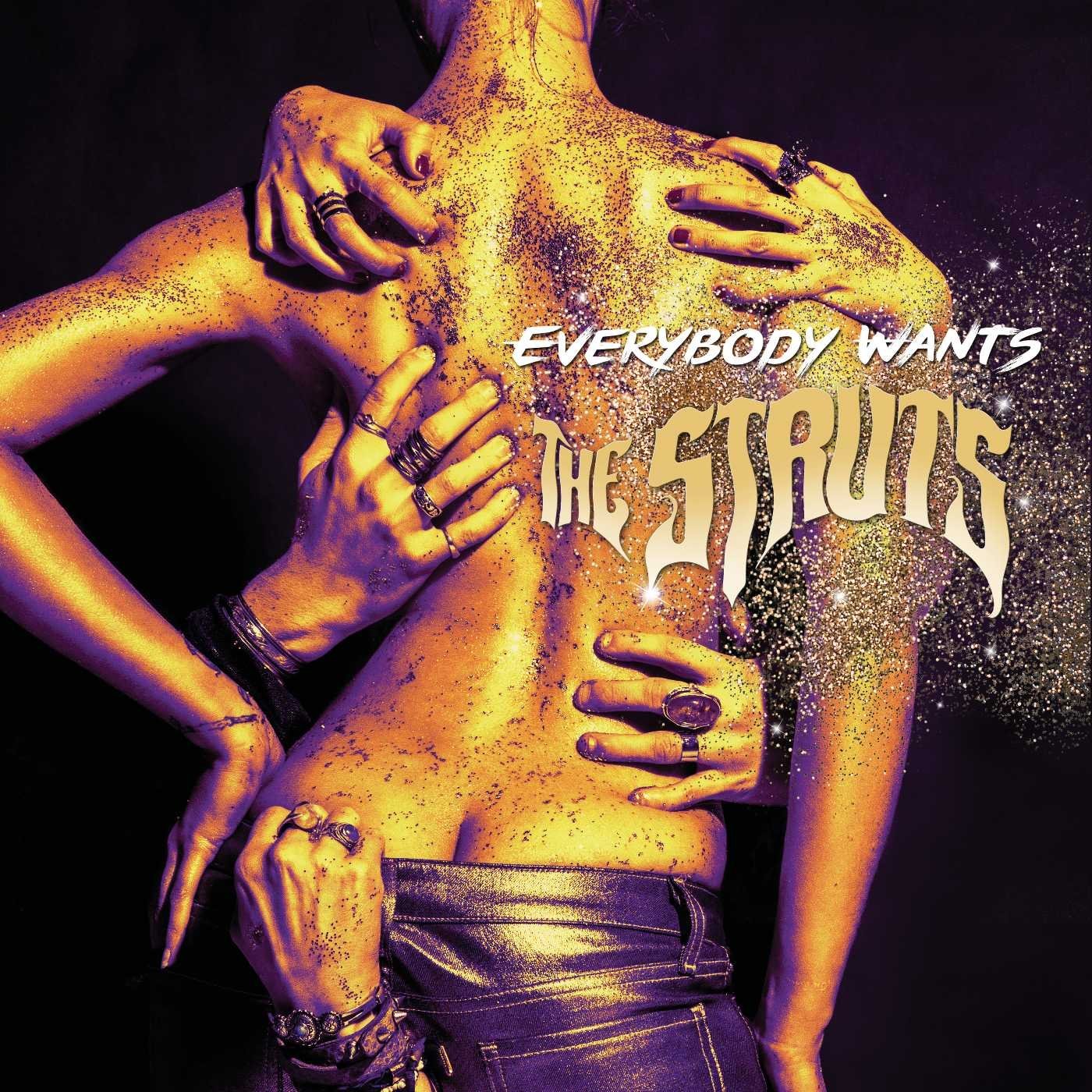 Everybody Wants | The Struts