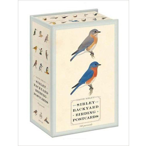 Carte postala - Sibley Backyard Birding - mai multe modele | Chronicle Books