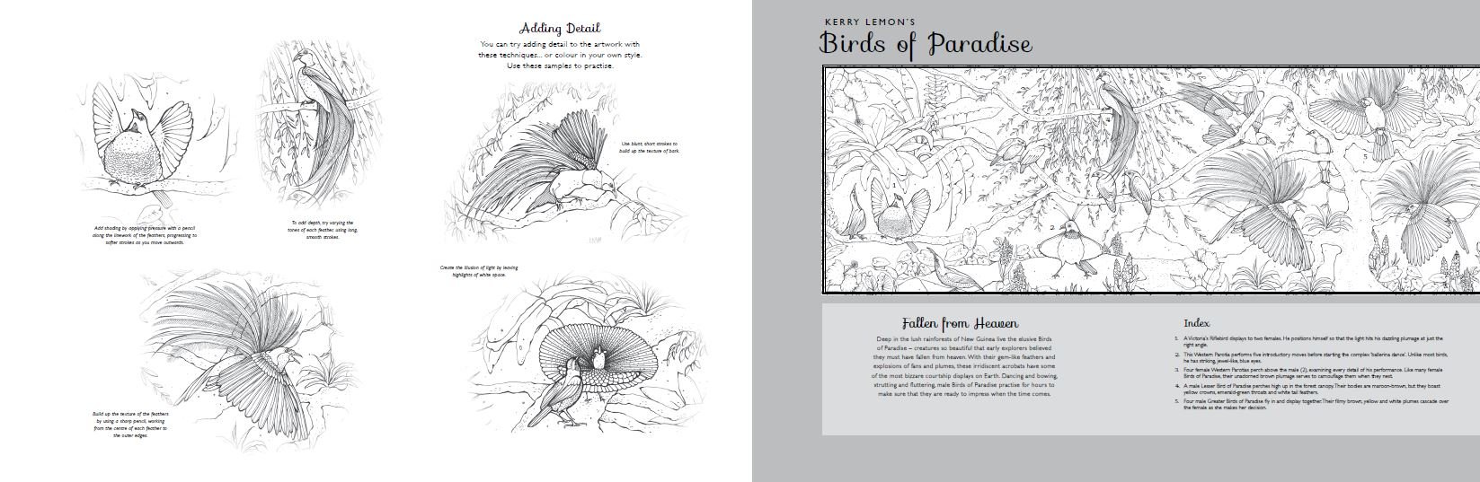 Pictura: Birds of Paradise |