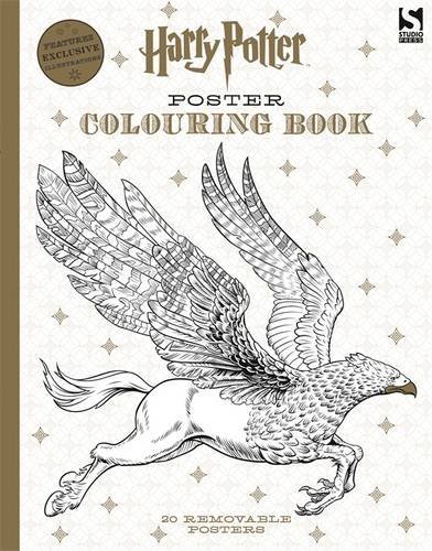 Harry Potter Poster Colouring Book |