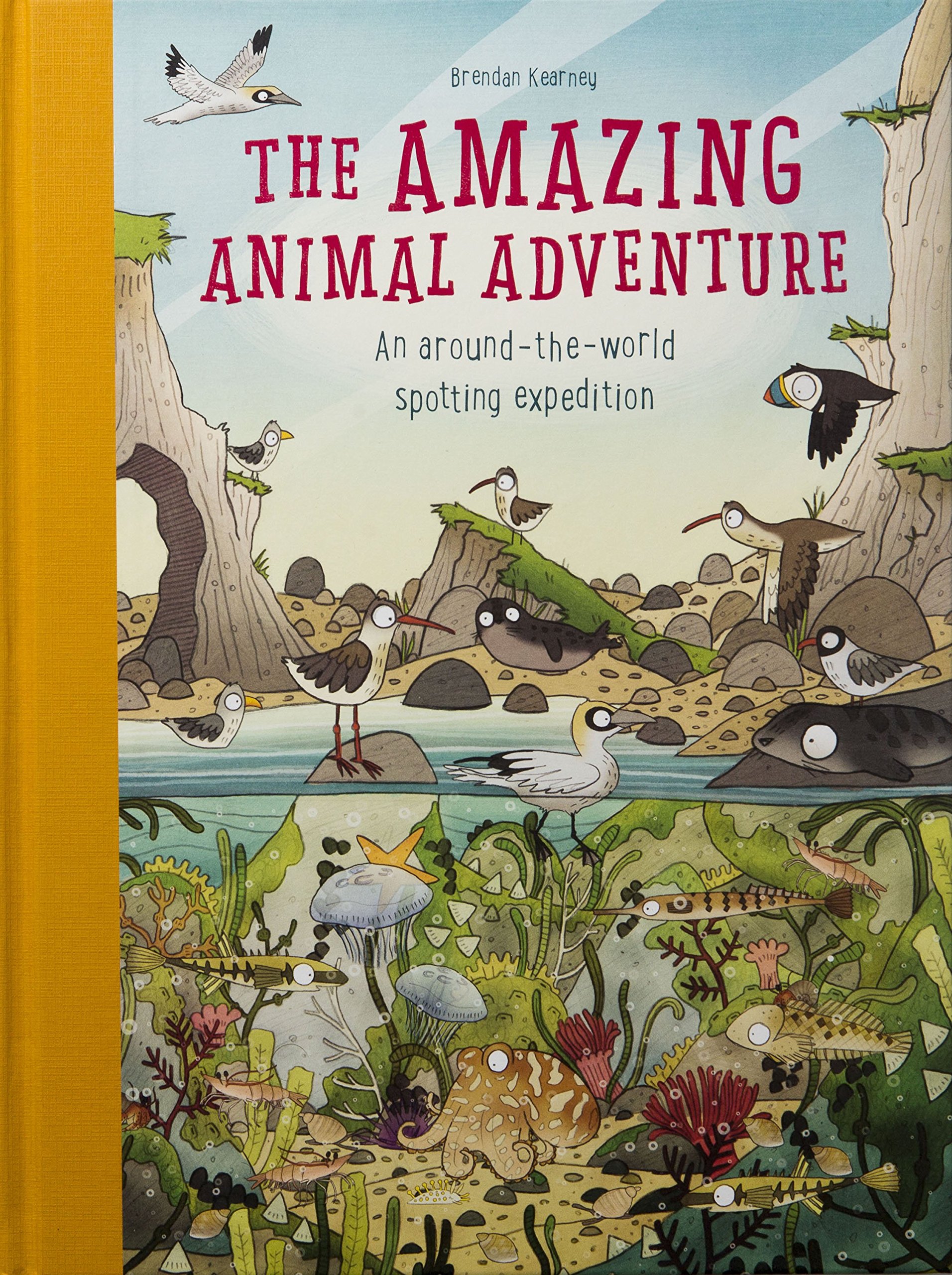 The Amazing Animal Adventure | Brendan Kearney, Anna Claybourne - 4 | YEO