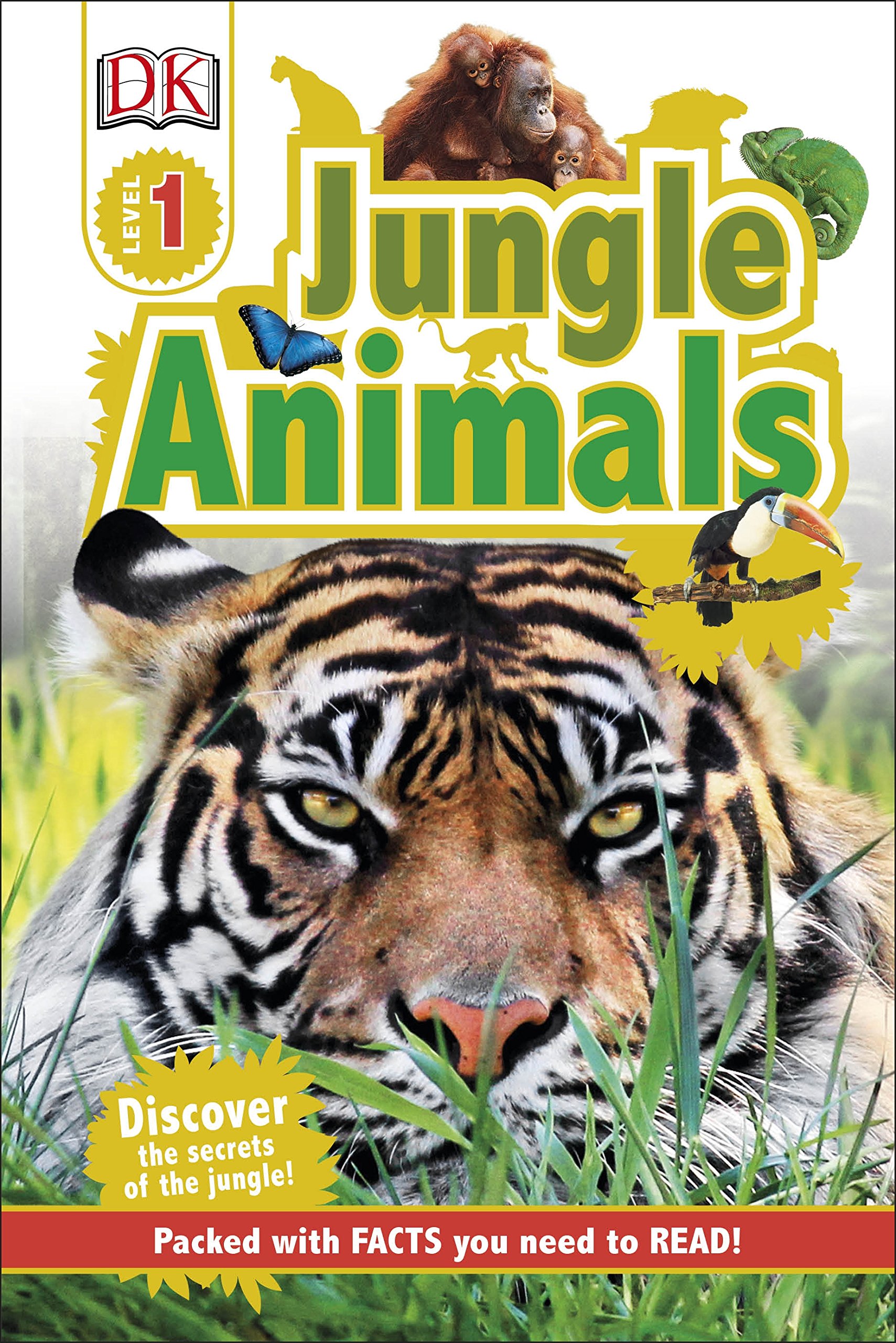 Jungle Animals |