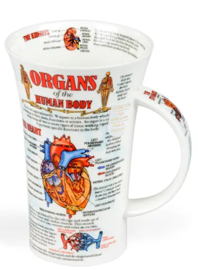 Cana - Organs | Dunoon