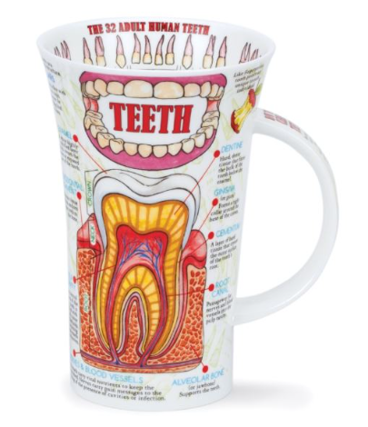 Cana - Glen Teeth | Dunoon