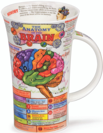 Cana - Glen the Brain | Dunoon