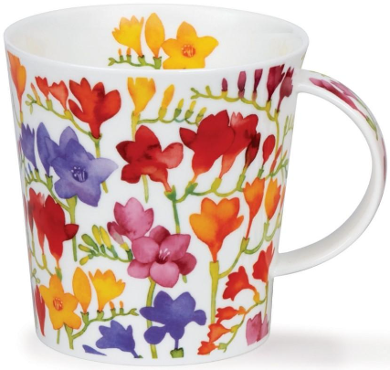 Cana - Fresia Jumbo | Dunoon