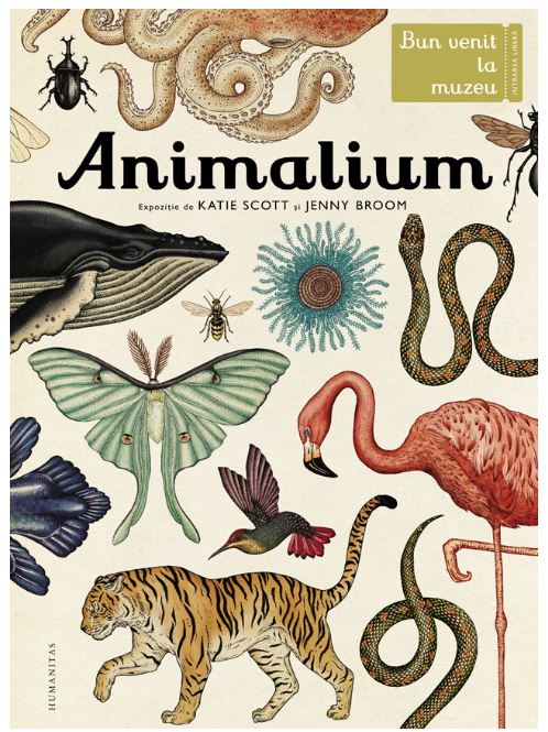 Animalium | Katie Scott, Jenny Broom carturesti.ro imagine 2022 cartile.ro