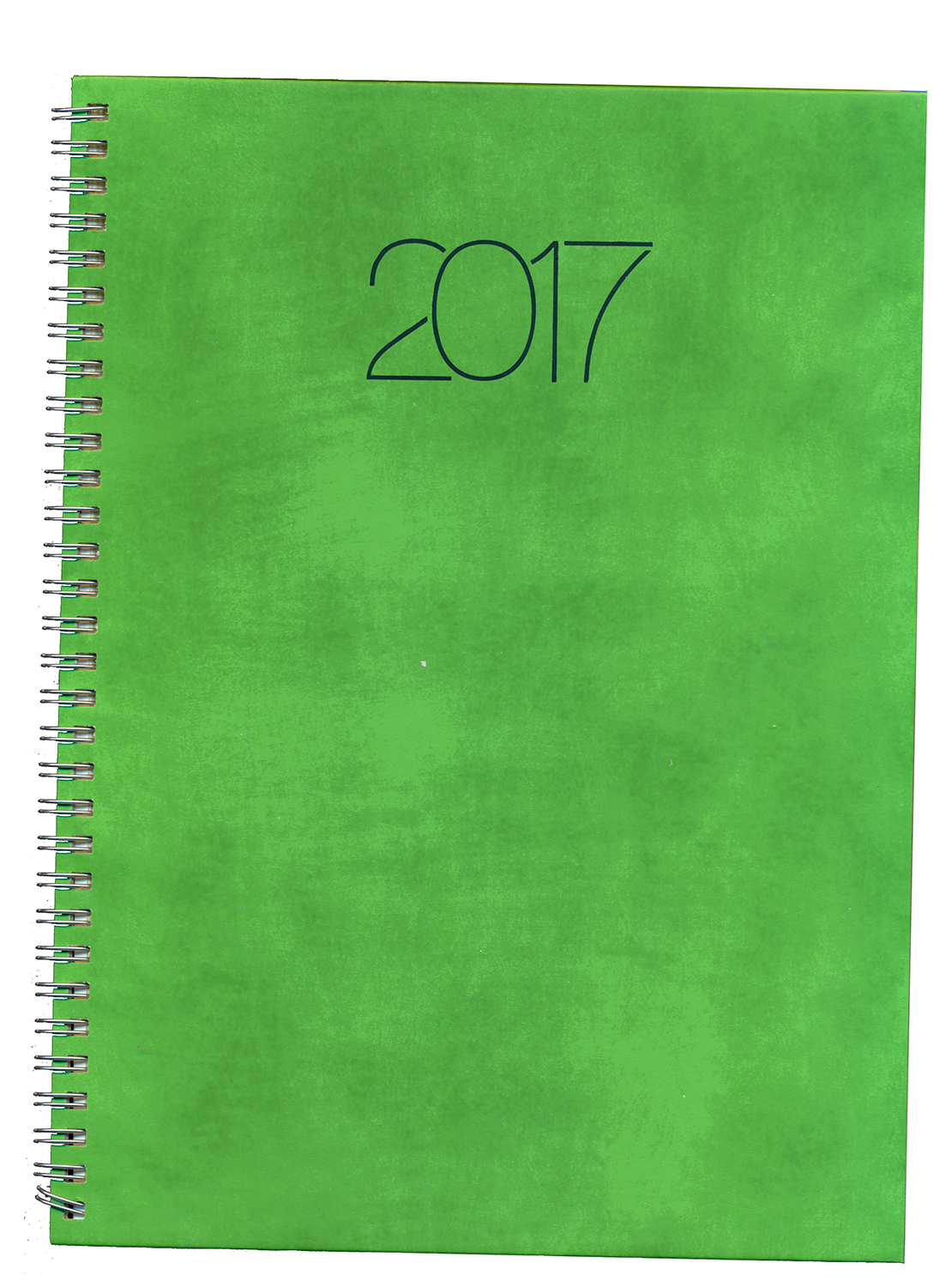 Agenda Nuance cu arc, A4 - datata, verde intens | RTC