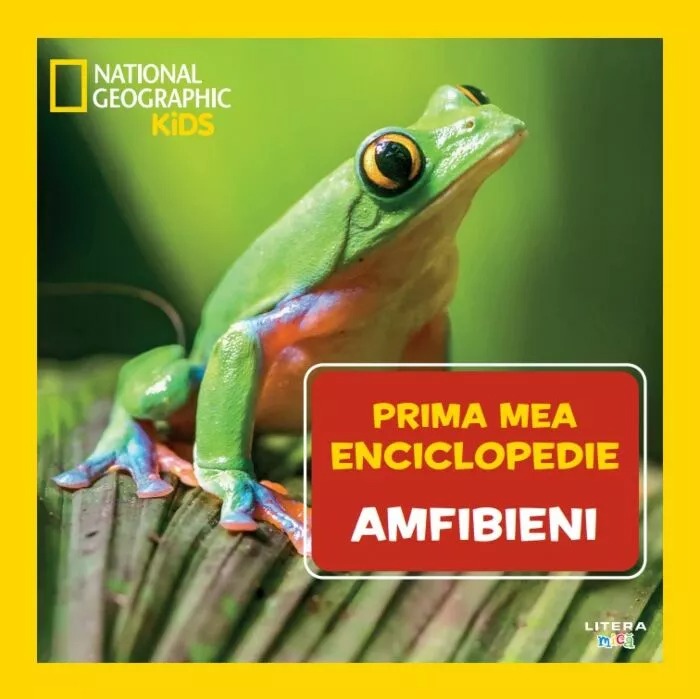 Amfibieni |