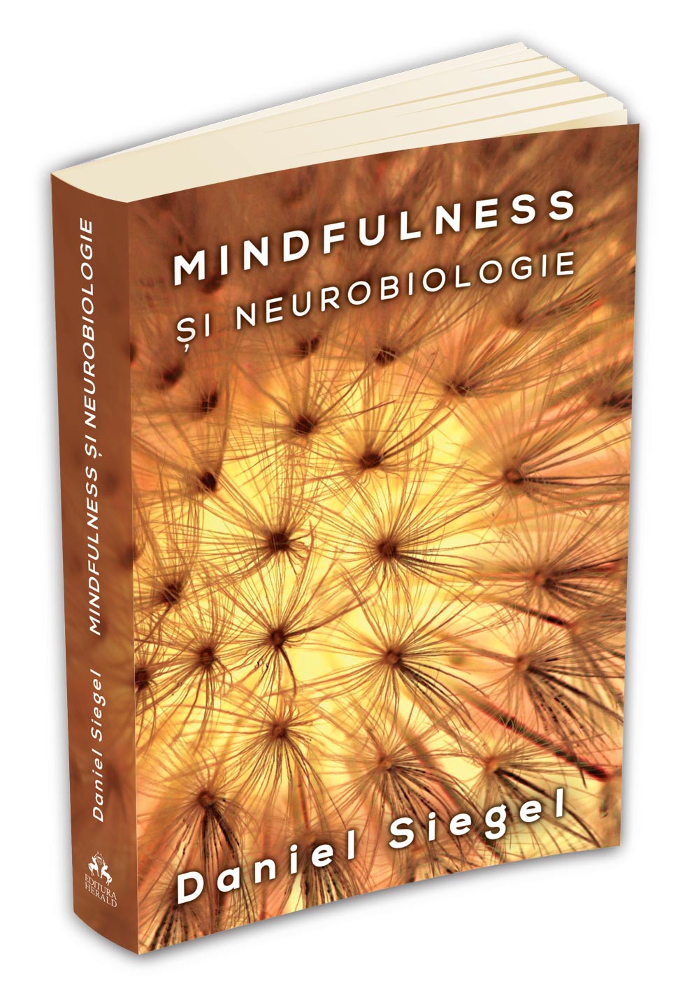Mindfulness si neurobiologie | Daniel J. Siegel carturesti.ro imagine 2022