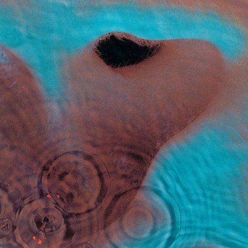 Meddle - Vinyl | Pink Floyd