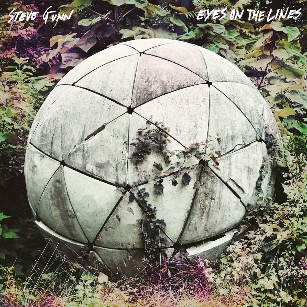 Eyes on the Lines | Steve Gunn