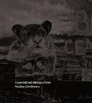 I can see no revolution | Nicolae Comanescu carturesti.ro imagine 2022 cartile.ro