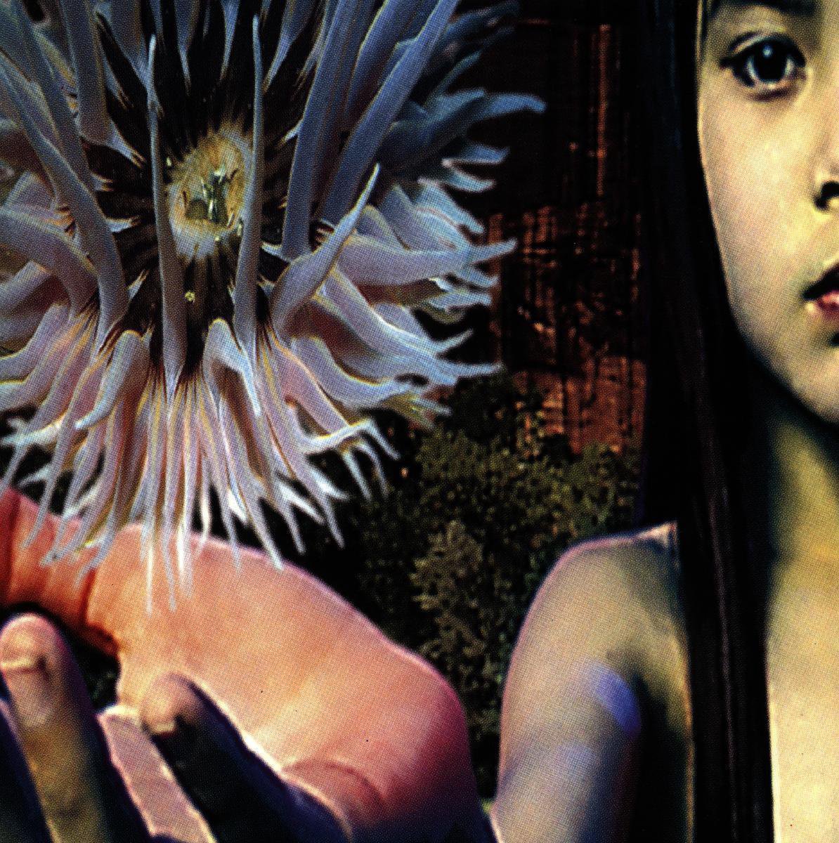 Lifeforms | The Future Sound of London