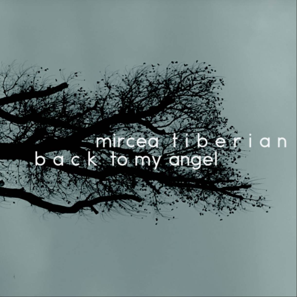 Back To My Angel | Mircea Tiberian