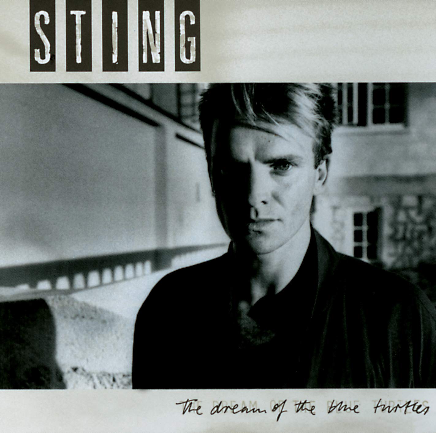 The dream of the blue turtles | Sting