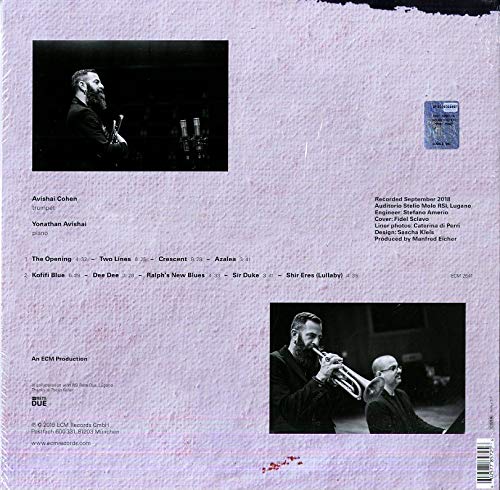 Playing the room - Vinyl | Avishai Cohen, Yonathan Avishai