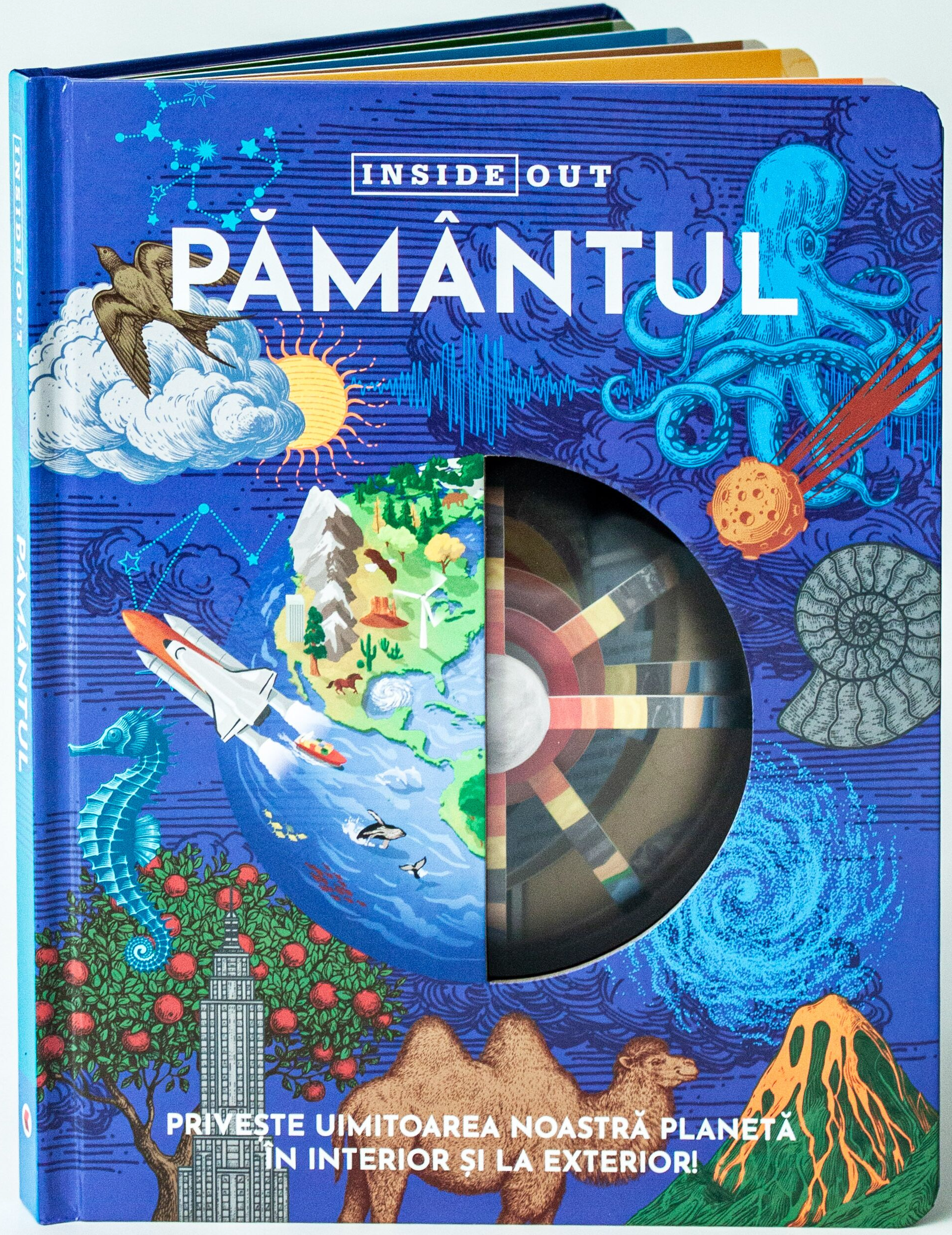 Pamantul  |
