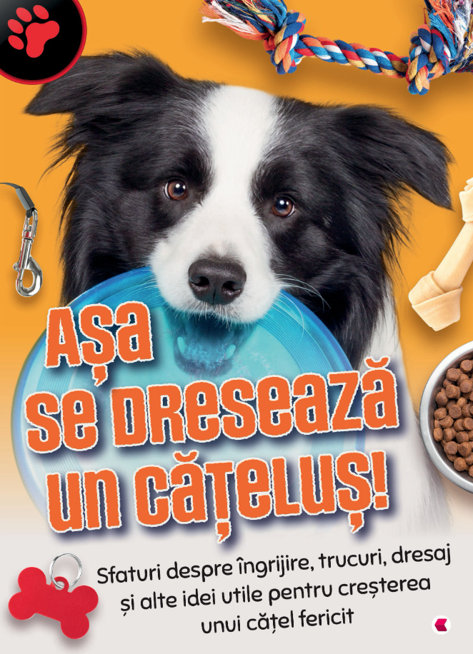 Asa se dreseaza un catelus! |