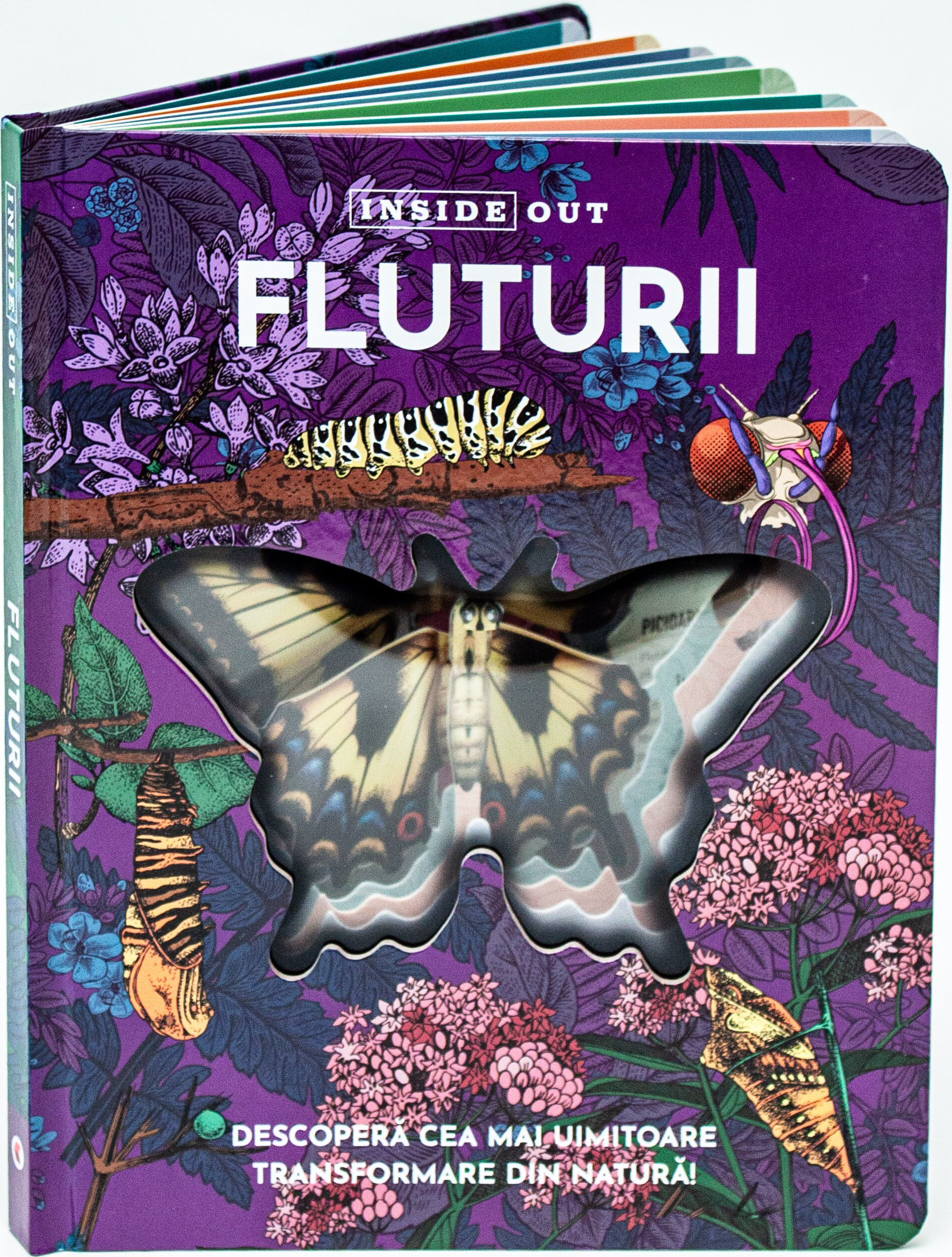 Fluturii |