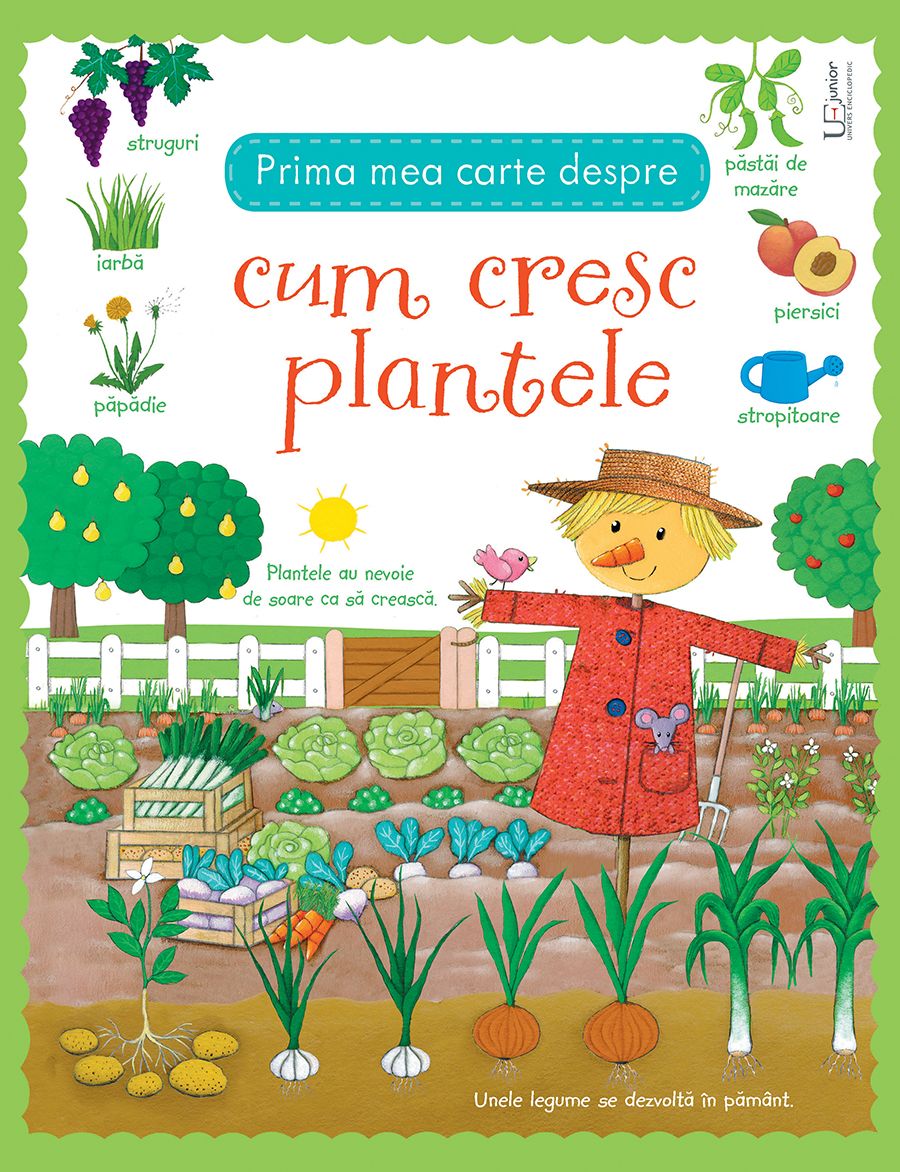 Prima mea carte despre cum cresc plantele | carturesti.ro Carte