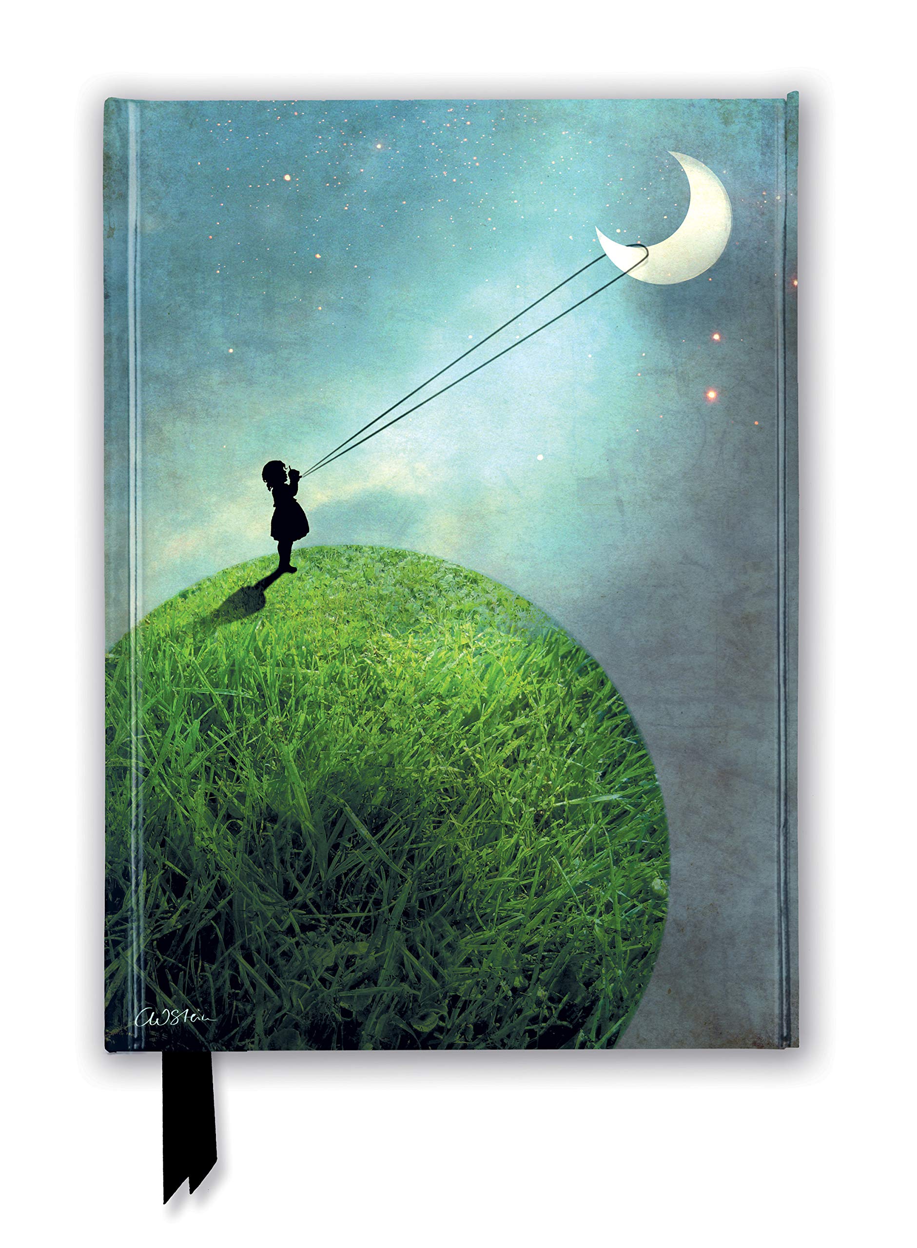 Jurnal - Catrin Welz-Stein - Chasing the Moon | Flame Tree Publishing