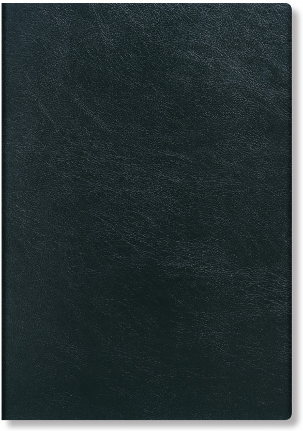 Husa Ipad Mini Carbon | Paperblanks - 1 | YEO