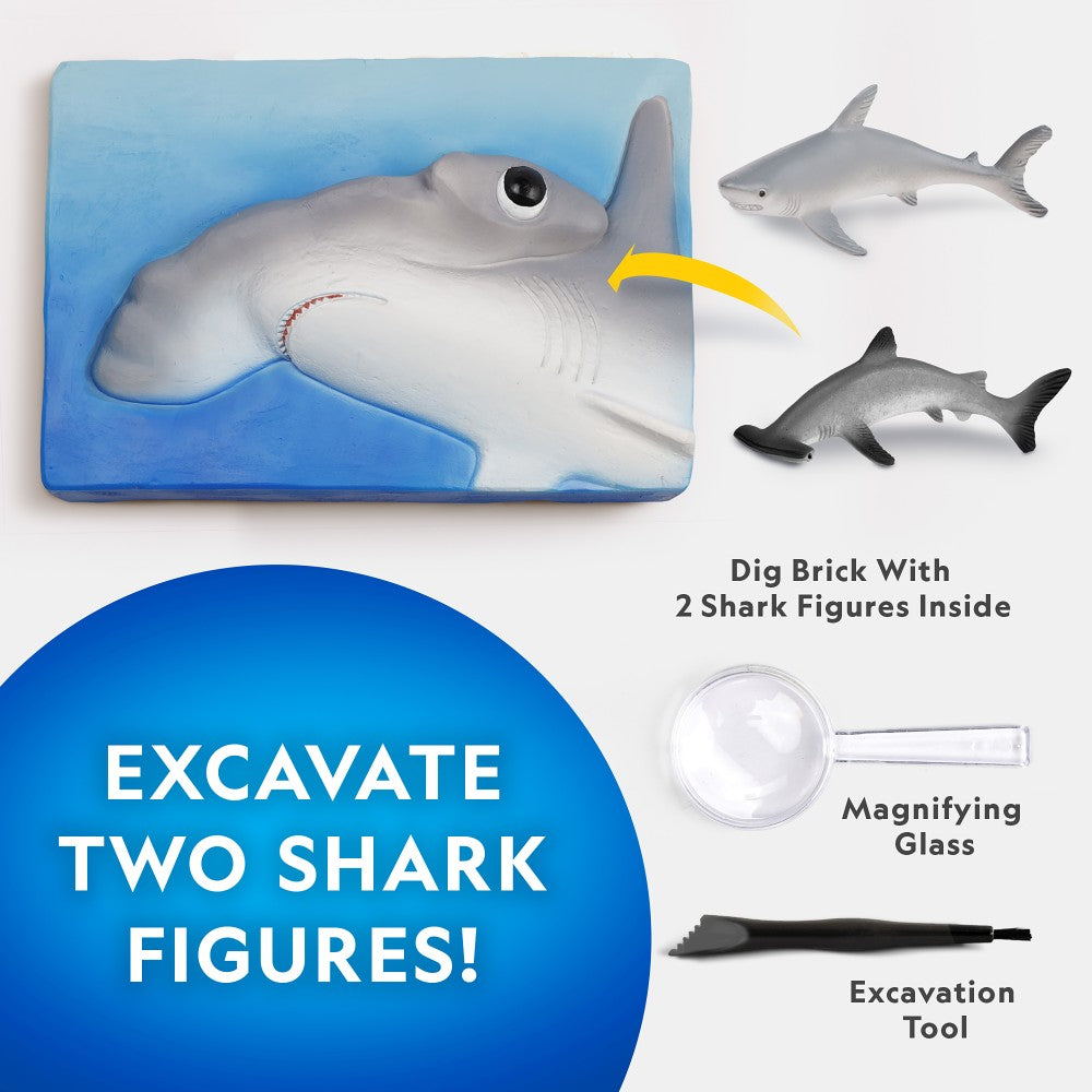 Set educativ - National Geographic - Descoperirea rechinilor | National Geographic - imagine 3
