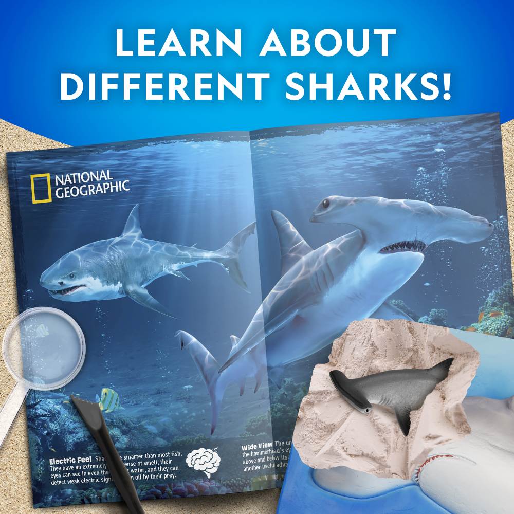 Set educativ - National Geographic - Descoperirea rechinilor | National Geographic - imagine 4