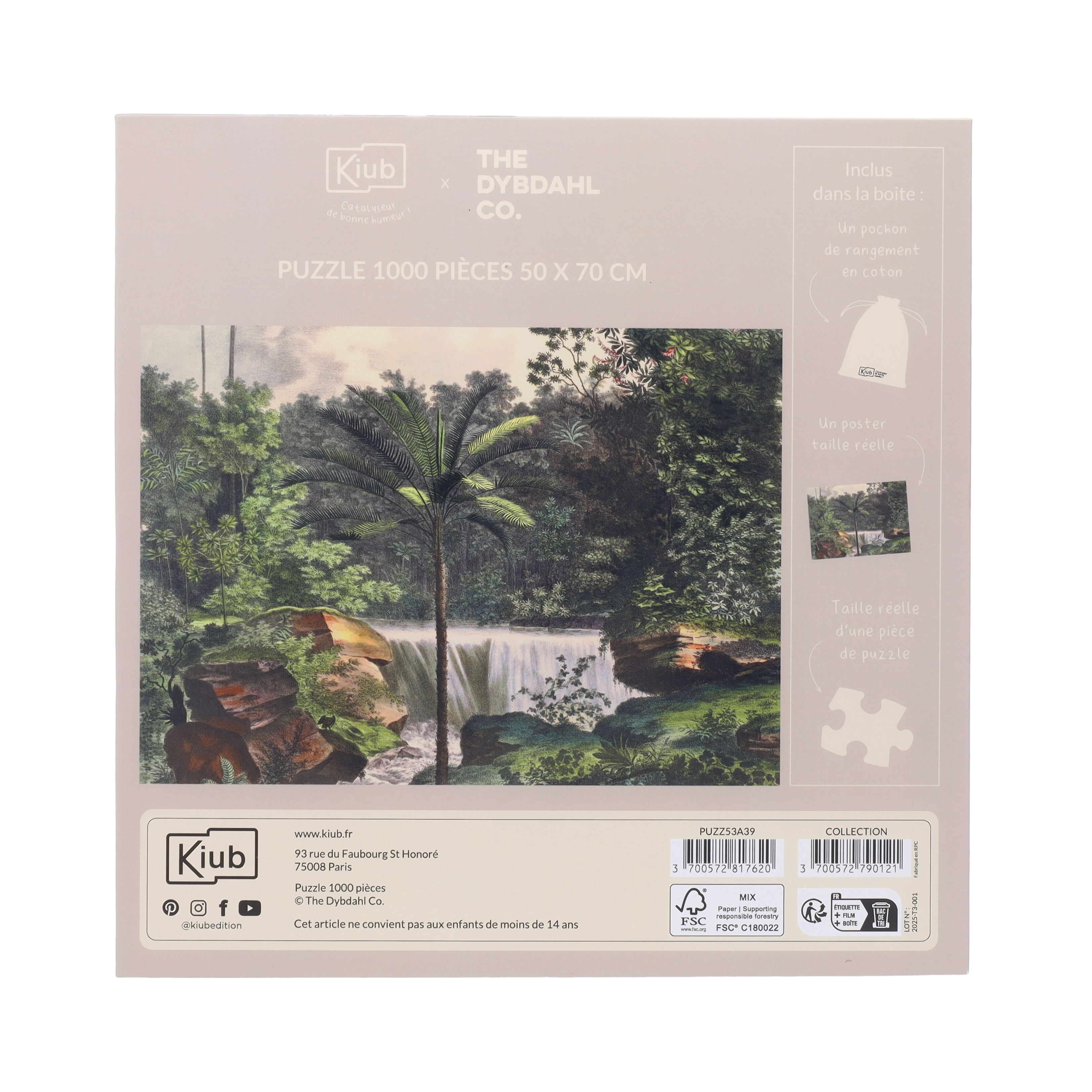 Puzzle 1000 de piese - The Dybdahl Co. - Cascade | Kiub - 2