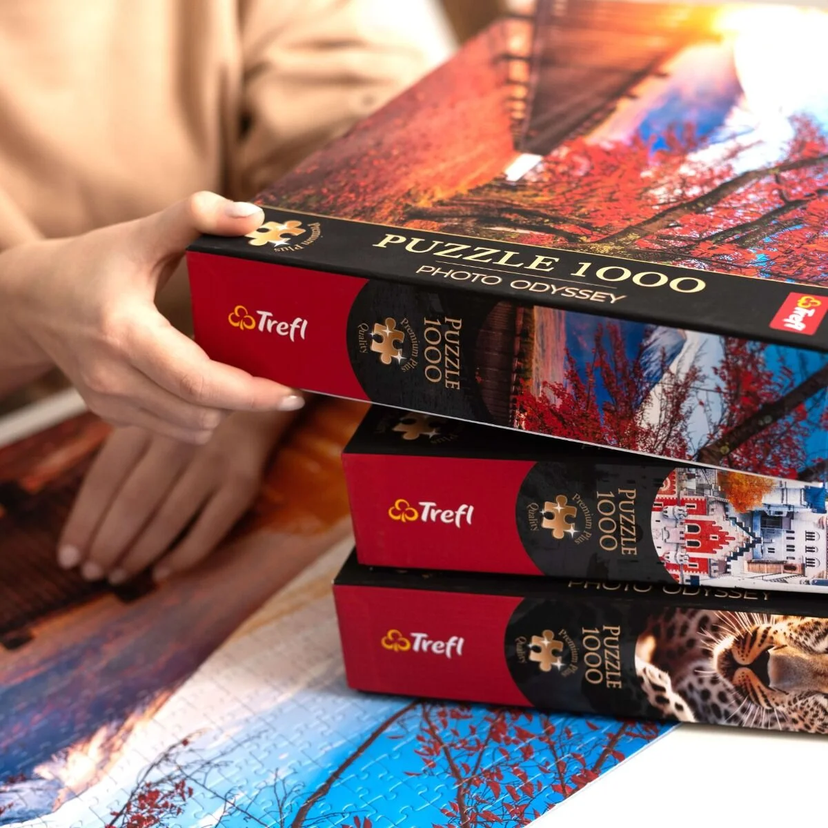 Puzzle 1000 de piese - Photo Odyssey: Spirit Island, Canada | Trefl - 3