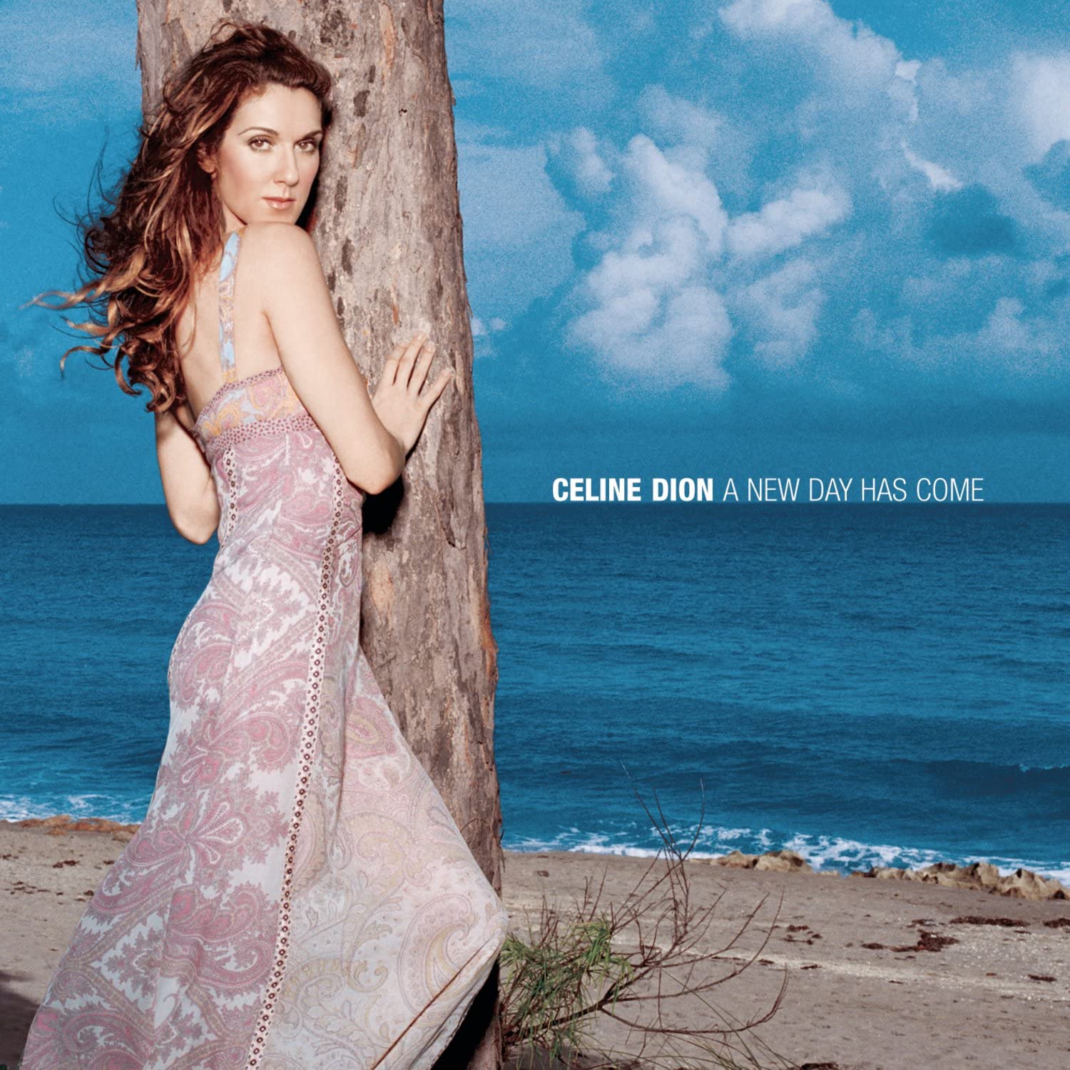 A New Day Has Come | Celine Dion carturesti.ro poza noua
