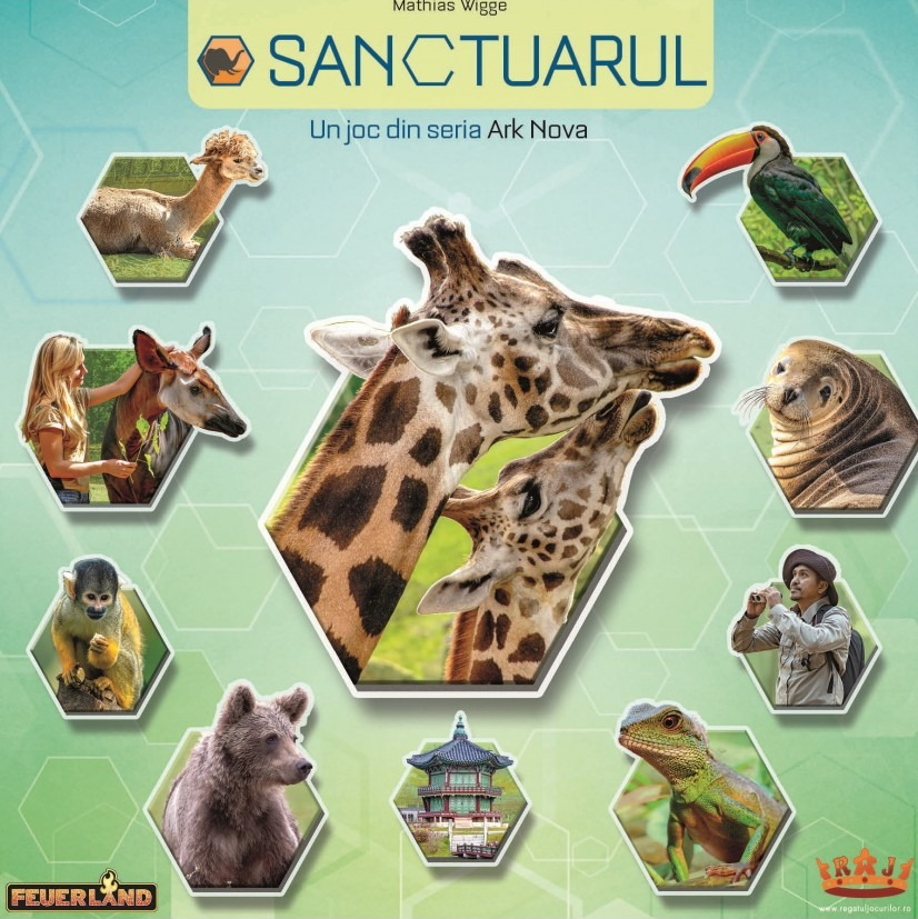 Joc de societate - Sanctuarul | Feverland - 1