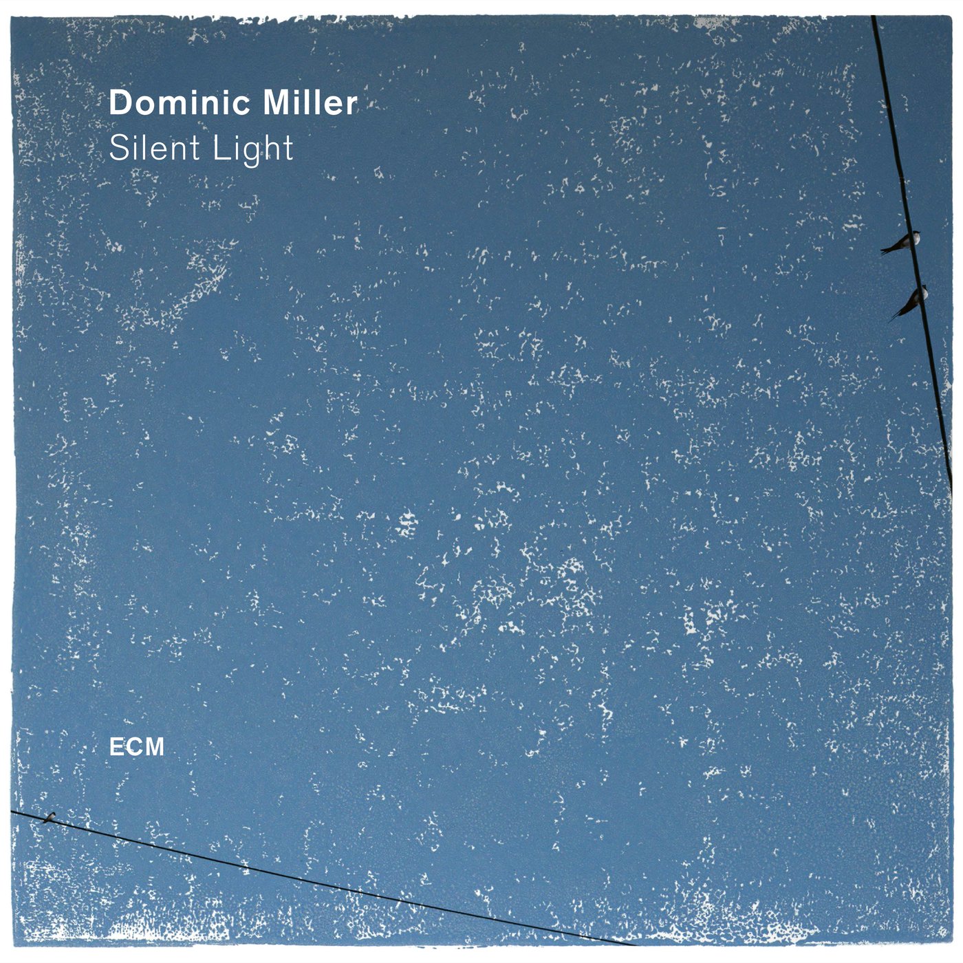 Silent light | Dominic Miller - 3 | YEO