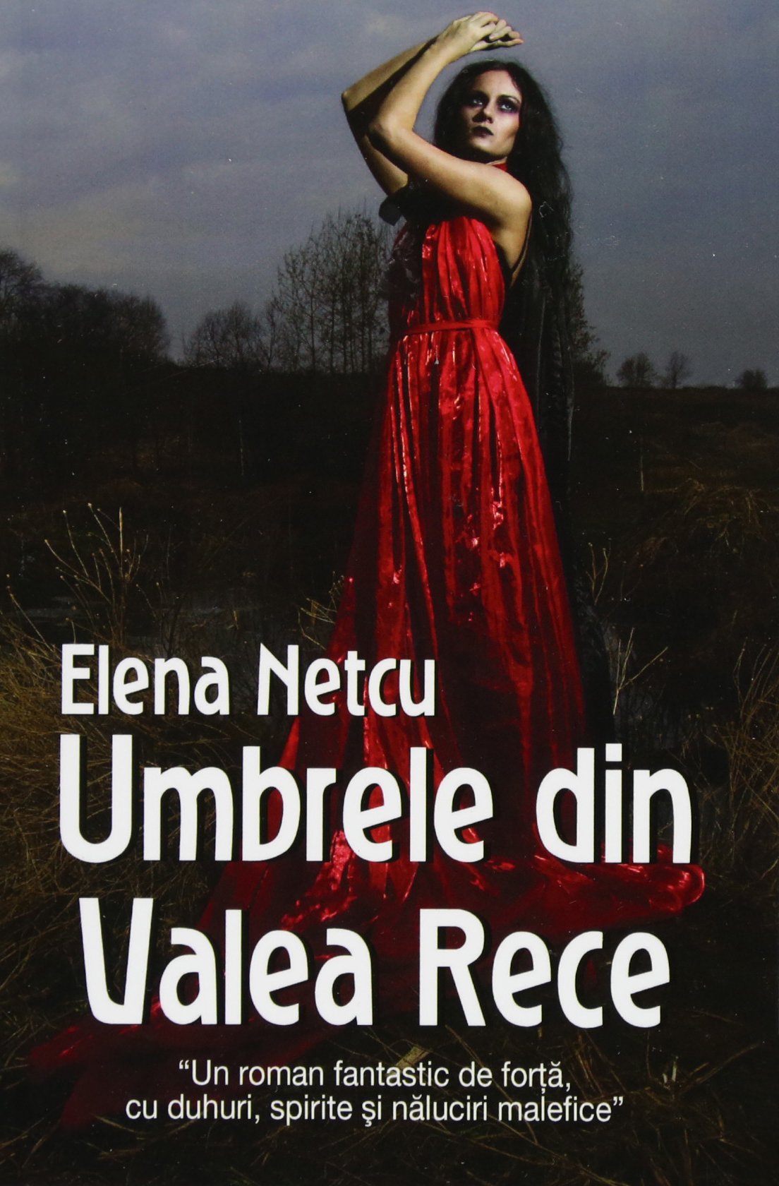 Umbrele din Valea Rece | Elena Netcu