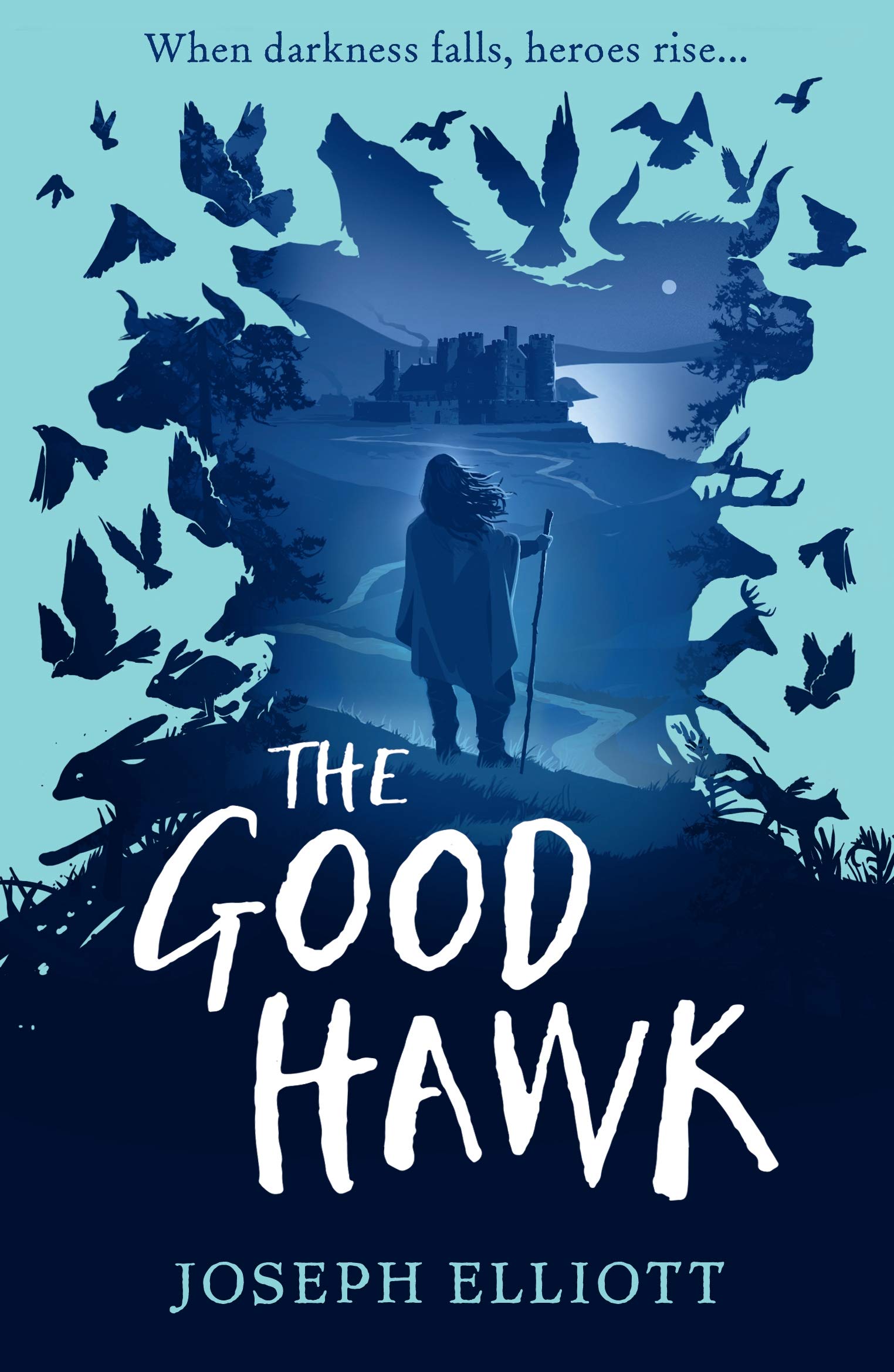 Good Hawk | Joseph Elliott