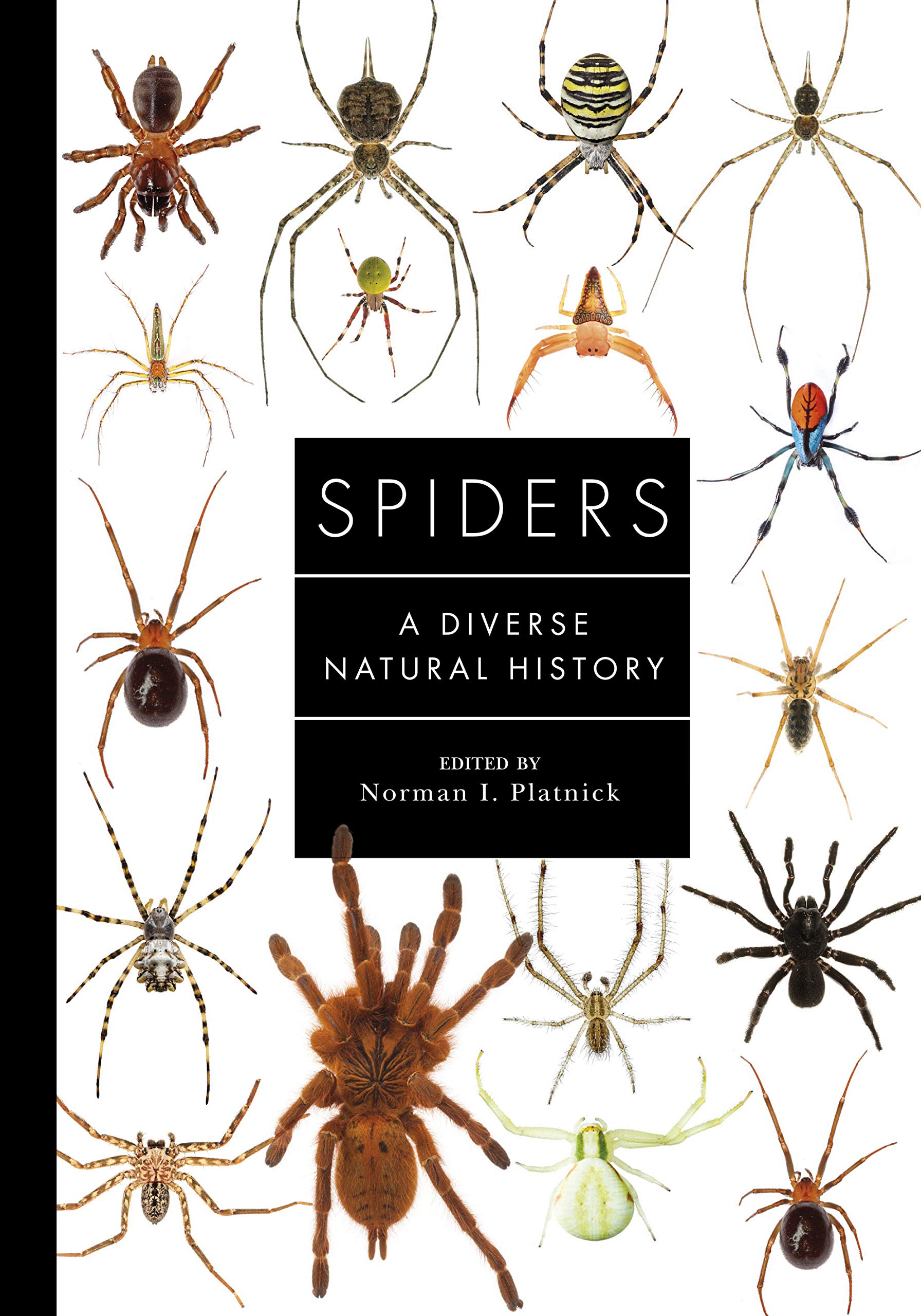 Spiders of the World | Norman Platnick