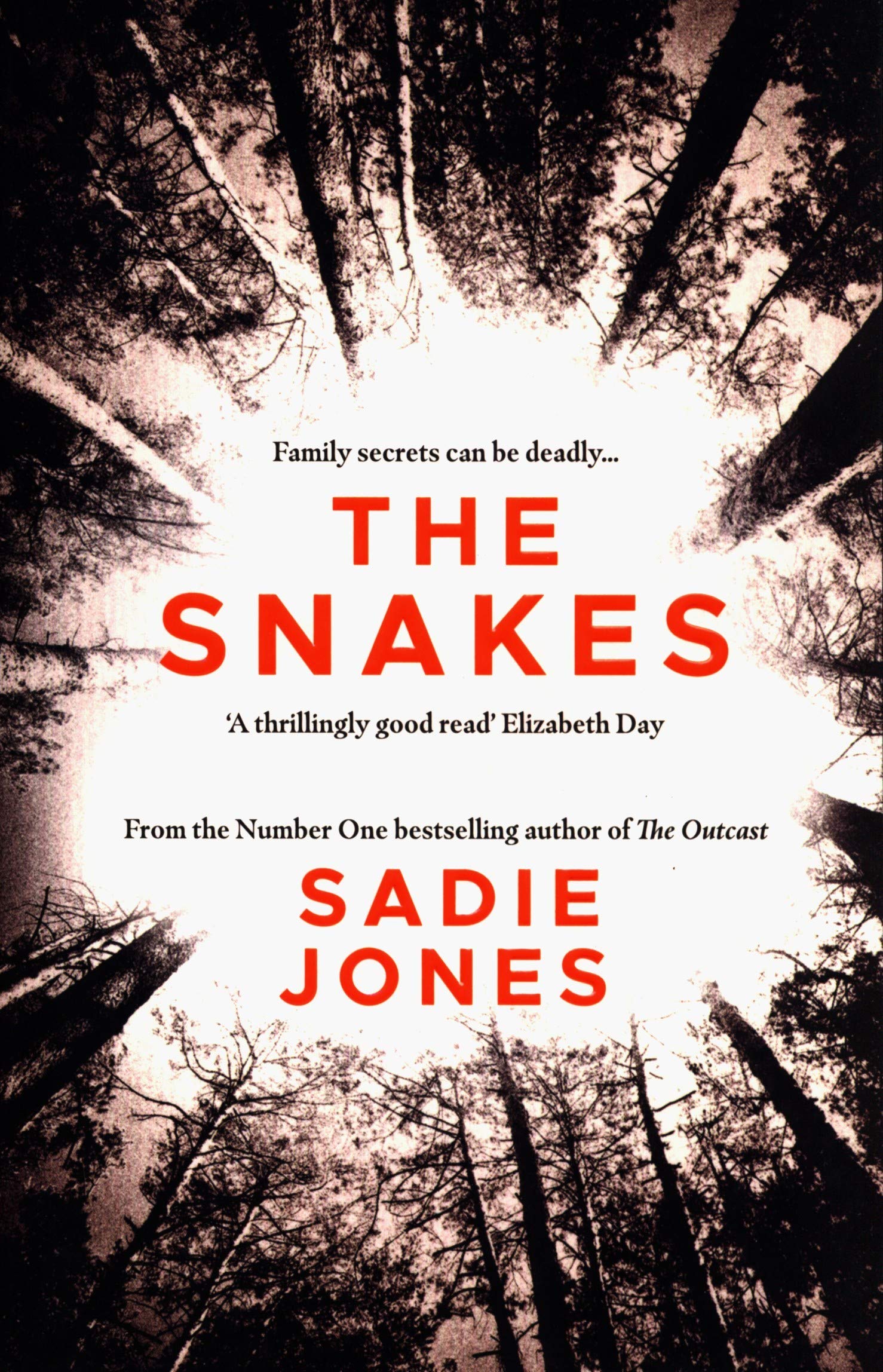 The Snakes | Sadie Jones