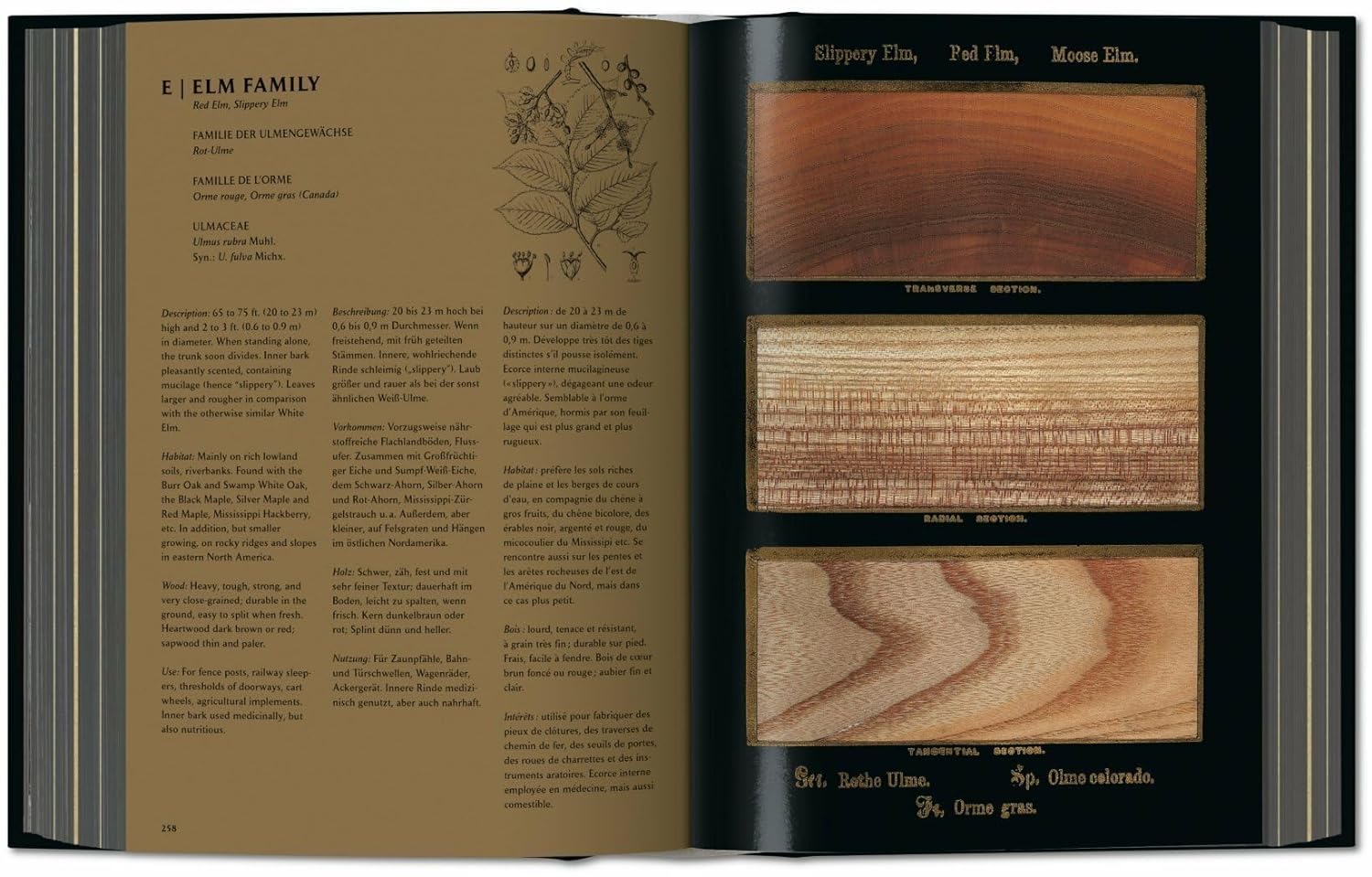 The Woodbook. The Complete Plates | Klaus Ulrich Leistikow - 1 | YEO