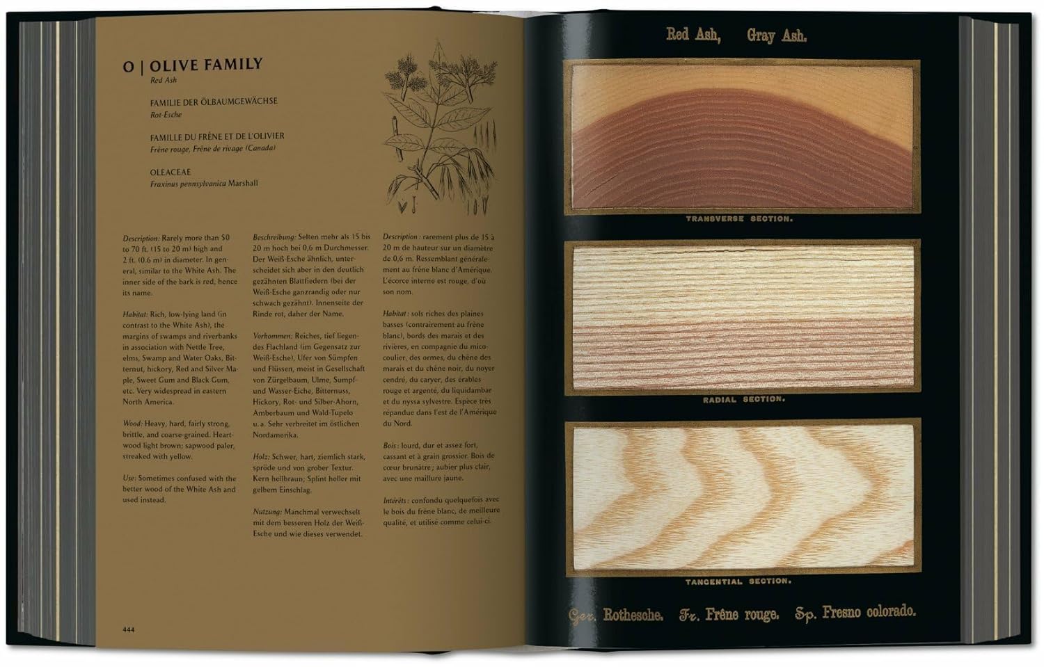 The Woodbook. The Complete Plates | Klaus Ulrich Leistikow - 3 | YEO