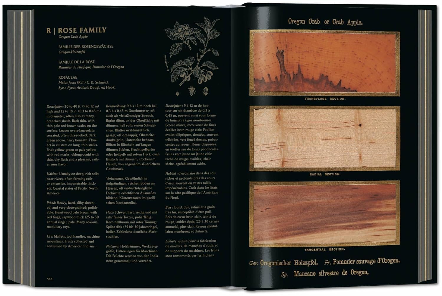 The Woodbook. The Complete Plates | Klaus Ulrich Leistikow - 4 | YEO