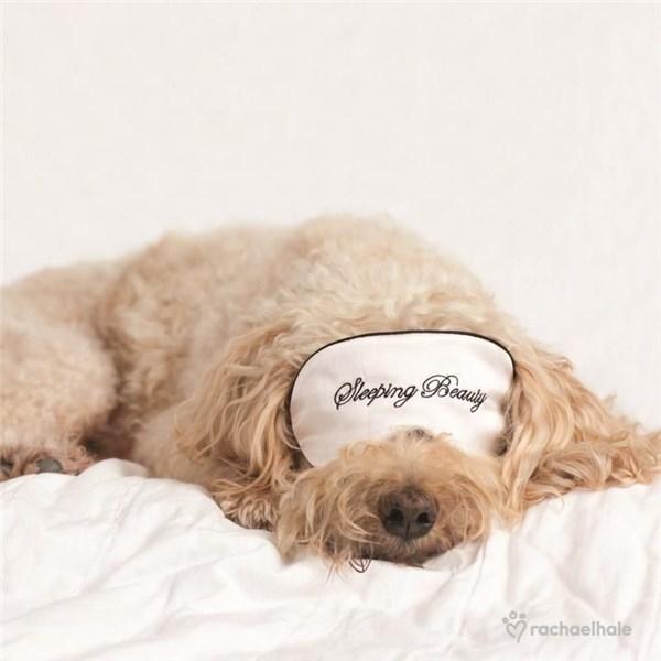 Felicitare Puppy With Eye Mask Cute | Rachel Hale