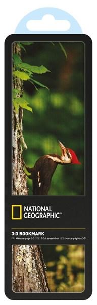 Semn de carte 3D National Geographic - Pileated Woodpecker | If (That Company Called)