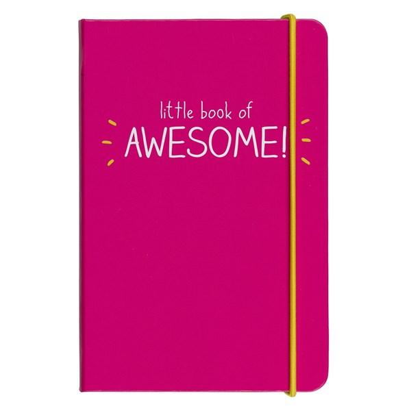 Carnet - Little Book of Awesome Pink | Wild & Wolf