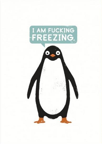 Talking Penguin Greeting Card | OHH Deer