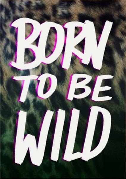 Felicitare - Born To Be Wild | OHH Deer