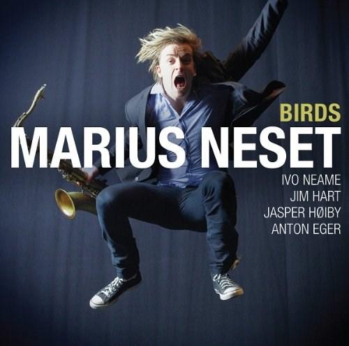 Birds | Marius Neset