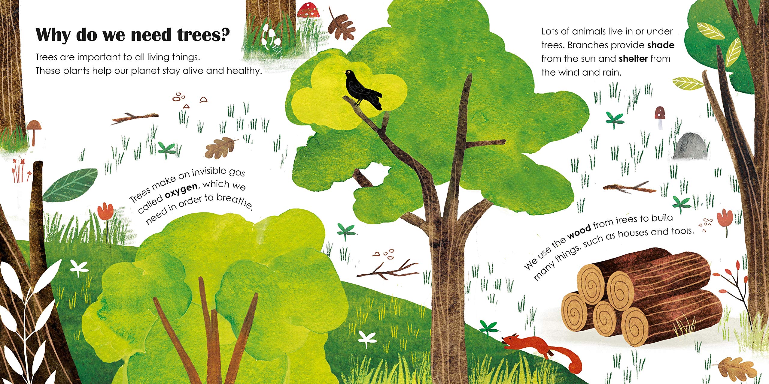 Trees: A lift-the-flap eco book | - 1 | YEO